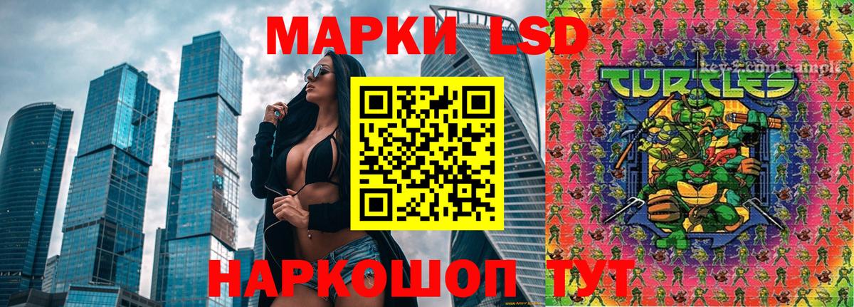Канаш  Марки N-bome 1,8мг  Вход с VPN 