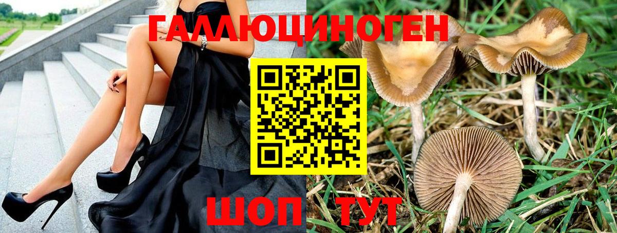 Галлюциногенные грибы Magic Shrooms  Вход с VPN  Галлюциногенные грибы мухоморы  Канаш 